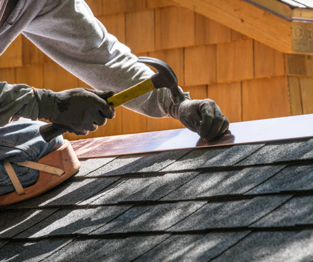 Best Roof Gutter Cleaning  in Jeffersonville, KY